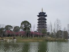 -洋湖国家湿地公园