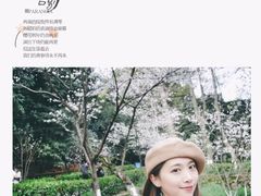 -武汉大学-樱园