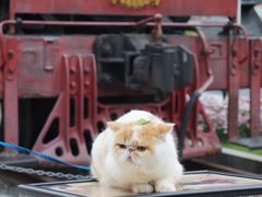 -广九铁路纪念园