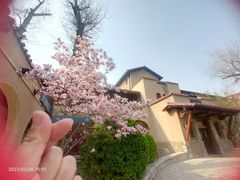 -静园(和平区)