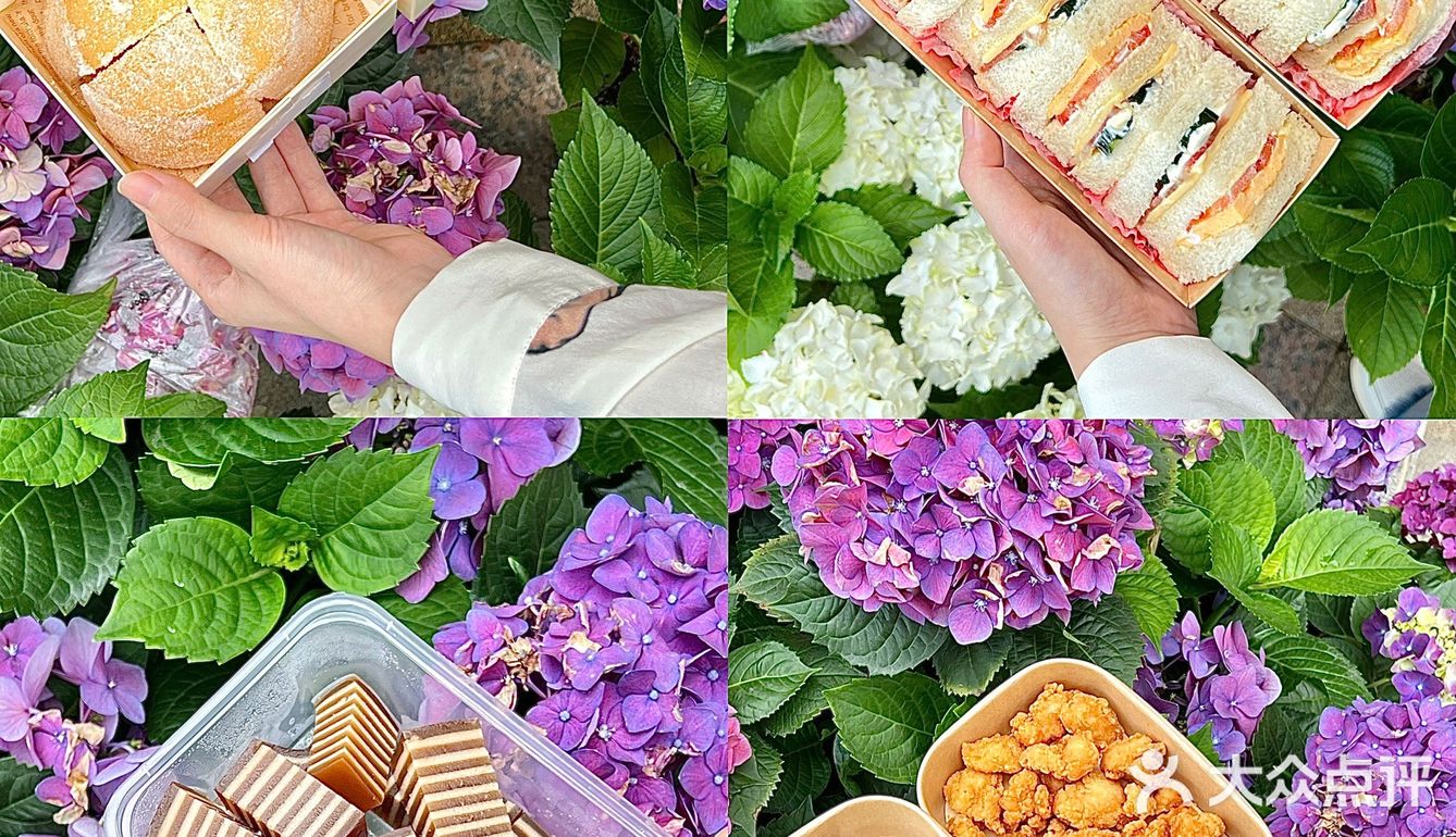 东莞绣球花野餐下午茶