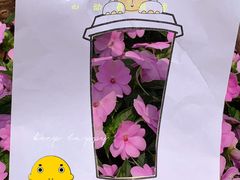 -大口九(东方广场店)