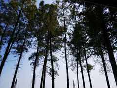 -上海月湖雕塑公园