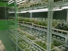 -兰陵国家农业公园