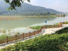 -艾米稻香小镇