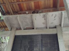 -米内日亚国家公园