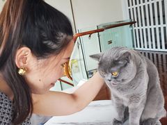 -Catmate·猫肥家润(金润铂宫店)