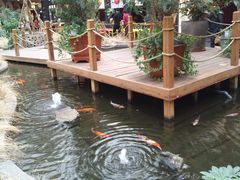 -凯德广场(学府店)