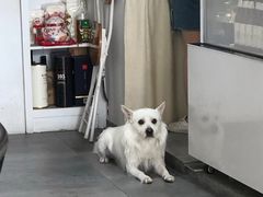 -悟白咖啡WoobyCafe