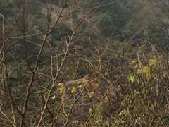 -大罗山风景区