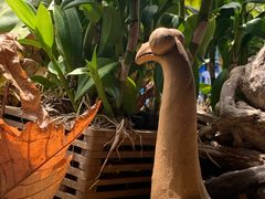 -自然餐厅(Phuket)