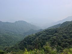 -大岭沟猕猴桃谷风景区