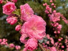 -海棠花溪(元大都城垣遗址公园)