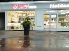 -蒲公英(五里店)