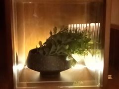-端艾堂·SPA·艾灸(棕榈泉013店)