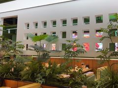 -0048鲜活香辣虾·火锅(铜陵路店)