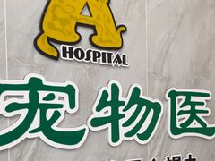 -半岛宠物医院24小时(科华中路店)