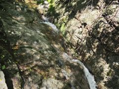 -王顺山国家森林公园