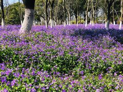 -白塘生态植物园