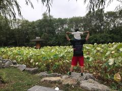 -合肥三国新城遗址公园