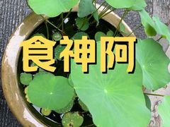 -香积寺