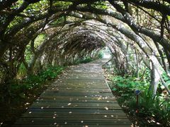 -广西壮族自治区药用植物园