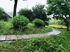 -黄海国家森林公园