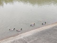 -滴水岩森林公园