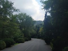-金龙寺国家森林公园