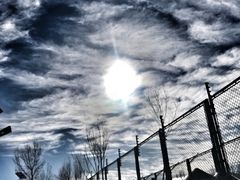 -鄂尔多斯野生动物园