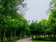 -洨河生态公园