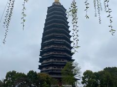 -红梅公园