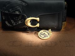 -COACH蔻驰(双安商场店)