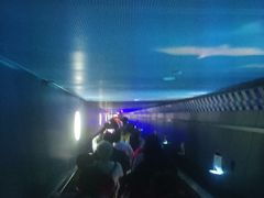 -白鹤梁水下博物馆