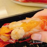 打卡网上风很大的红魔虾🦐