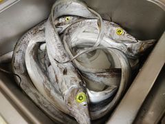 -渔人湾码头海鲜市场负二楼