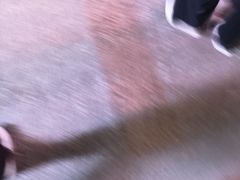 -上海月星家居(澳门路店)