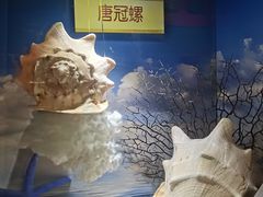 -海合安青岛极地海洋公园