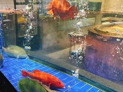 -新荣记(西溪湿地店)