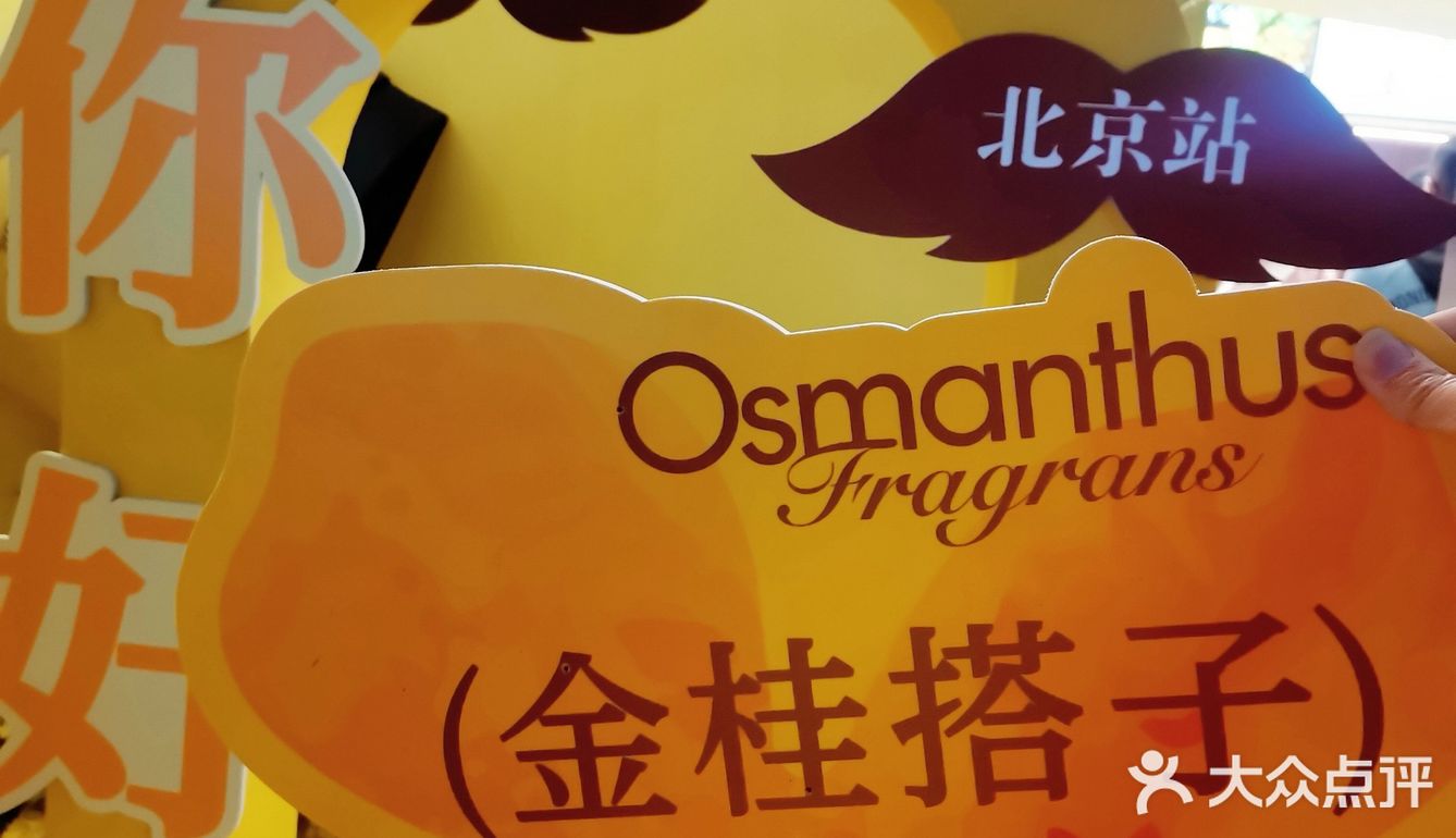 爷爷不泡茶，喝完365天我将余生想念🥰