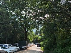 -南诏风情岛