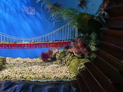 -太平洋海底世界