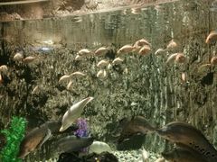 -多彩贵州城极地海洋世界