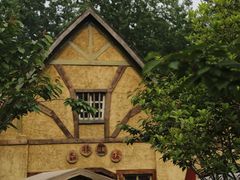 -合肥滨湖国家森林公园