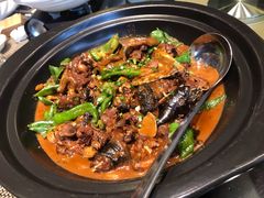 私房土甲鱼-茶叁酒肆·楚味江湖(菱角湖店)