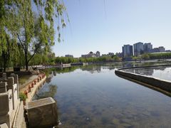 -莲花池公园