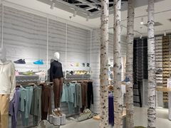 -allbirds(三里屯太古里南区店)