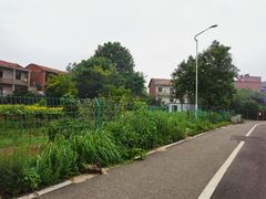 -梁子湖东篱老屋生态庄园