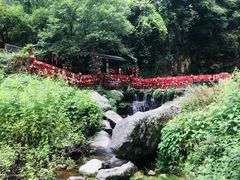 -苍山感通索道