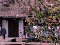 -郭庄景区
